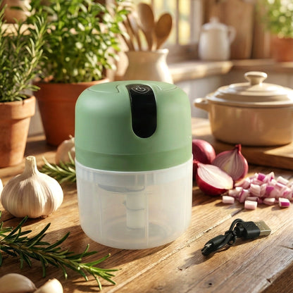Mini Electric Food Processor  Vegetable Chopper Garlic Chopper  Machine  (250 Ml)